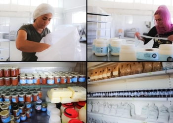 Women co-op workers enjoy being their own boss