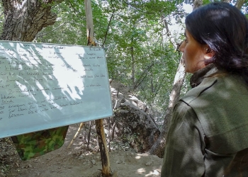 The more education western leftists get in Kurdistan, the more dangerous they become
