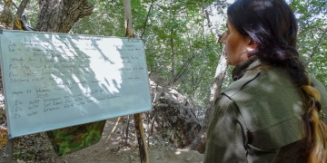 The more education western leftists get in Kurdistan, the more dangerous they become