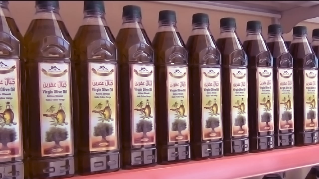Olive harvest in Afrin targeted by Turkish backed forces and gangs