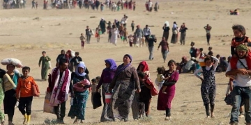 The liberation of Sinjar and its future