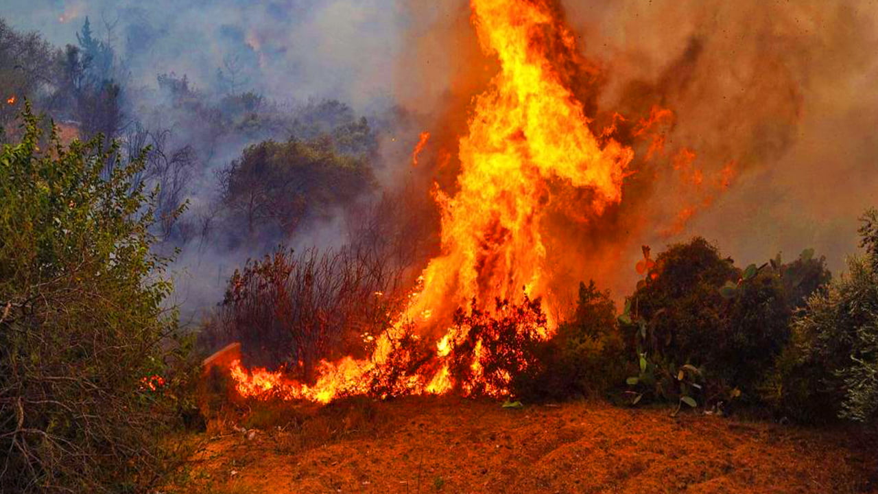 Two suspects detained over the forest fires in Hatay