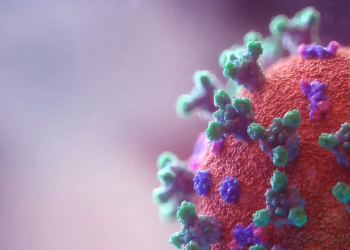 Global coronavirus cases exceed 40 million