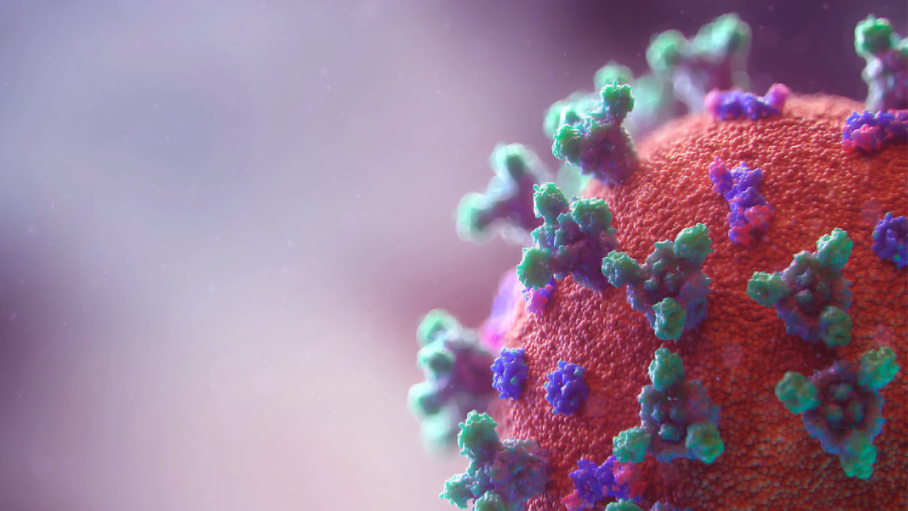 Global coronavirus cases exceed 40 million