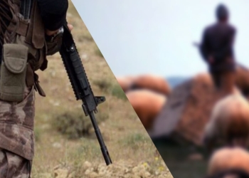 Shepherd shot dead by soldiers in Tell Abyad