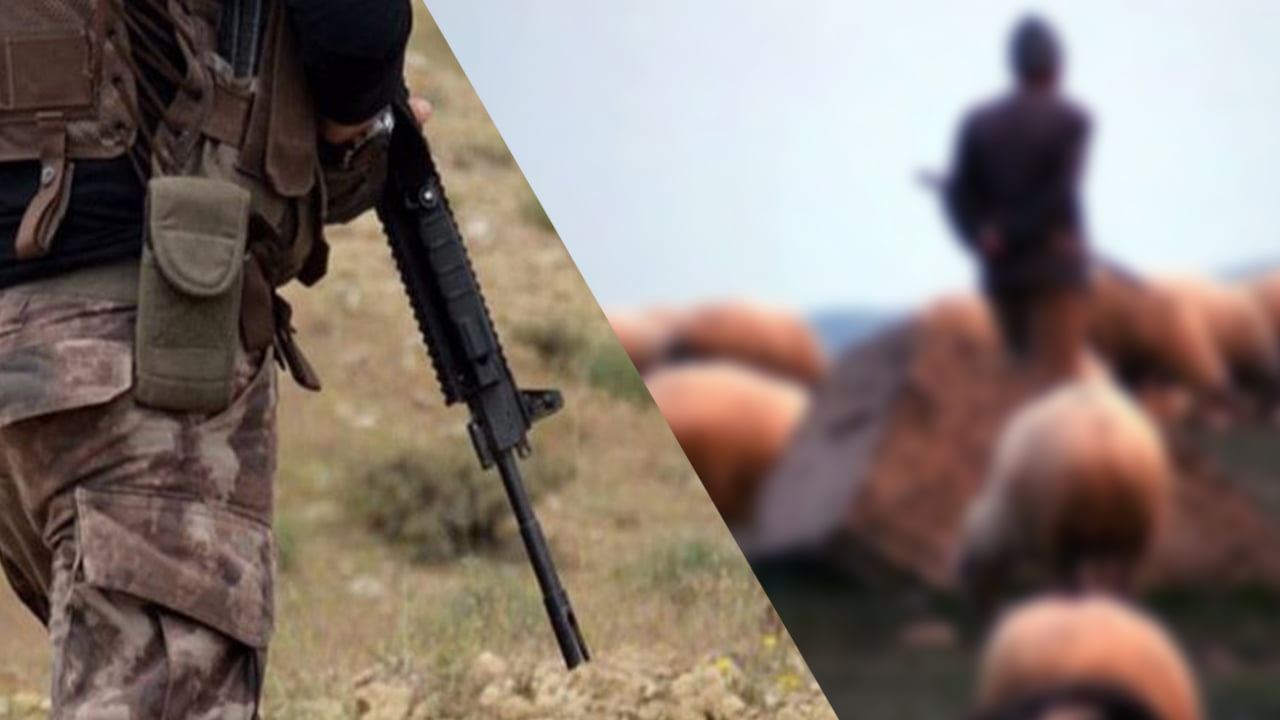 Shepherd shot dead by soldiers in Tell Abyad