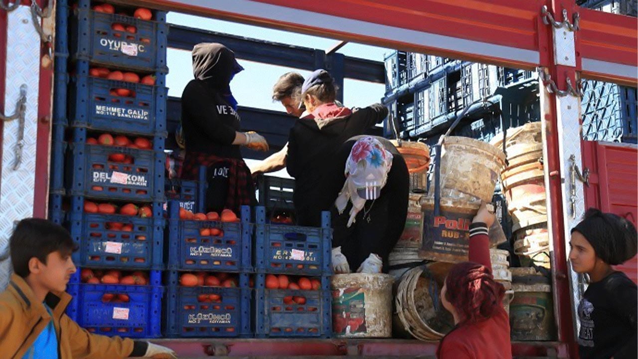 Student seasonal workers in Bitlis, Turkey