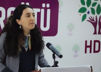 HDP declares new Continuous Action Programme