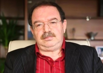 Hatip Dicle: the KDP makes two strategic mistakes