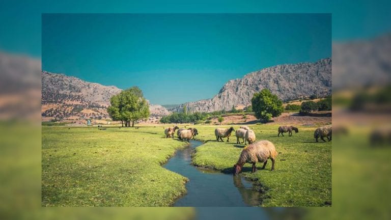 Zori Stream hydroelectric power project threatens people and the environment