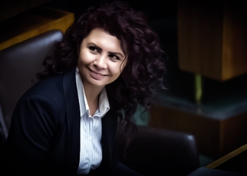 Turkish ambassador to Austria denies origins of Green Party’s Kurdish MP