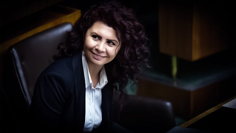 Turkish ambassador to Austria denies origins of Green Party’s Kurdish MP