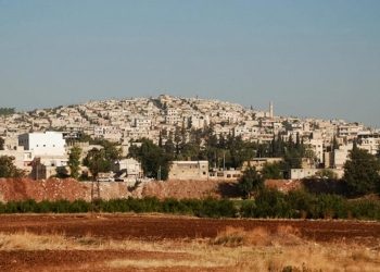 Human rights violations in Afrin include organ trafficking