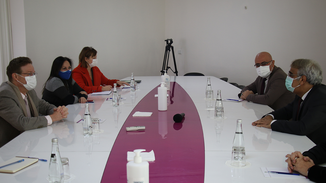 The head of the EU delegation visits the HDP in Turkey