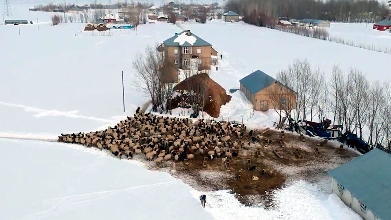 Kurdish villagers in Hakkari face harsh winter conditions