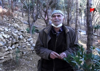 72-year-old Şeyhmus Erginoğlu helps to create a forest in Mardin