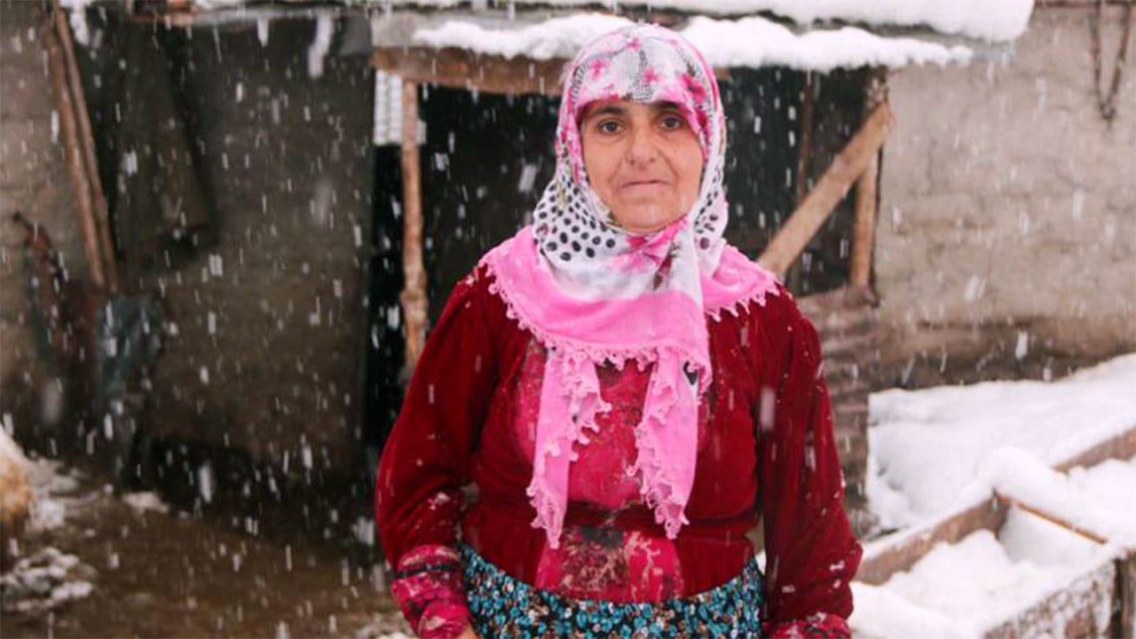 A woman, a shepherd, a healer: The life of Kadife Ayar in Hakkari