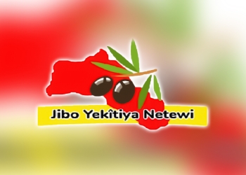 Organisations in Europe make joint statment for Yazidi people