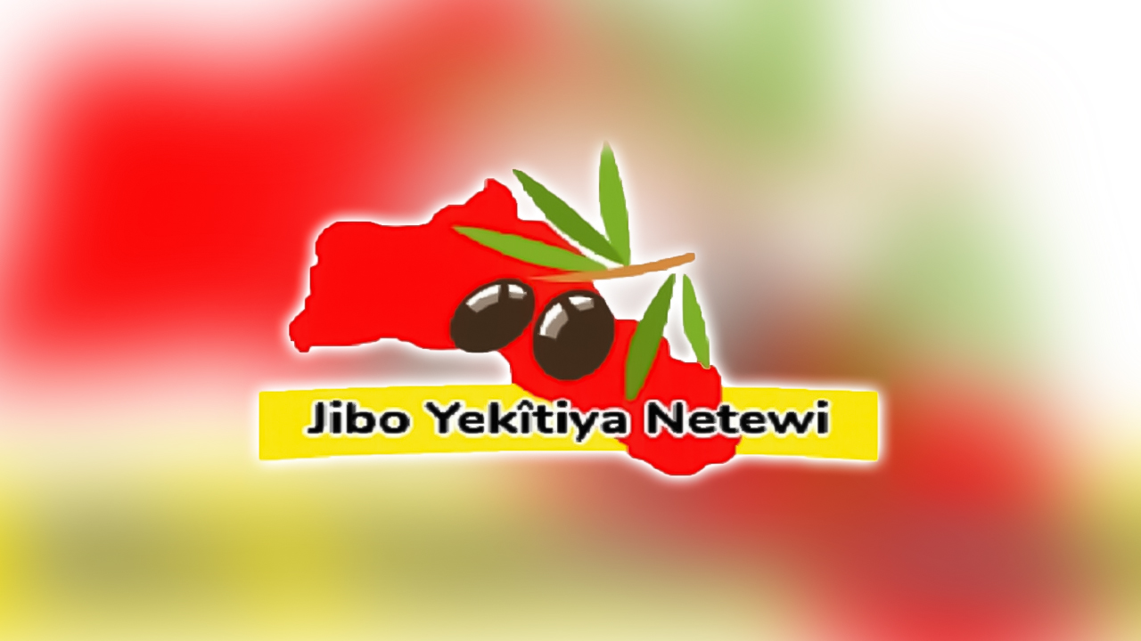 Organisations in Europe make joint statment for Yazidi people