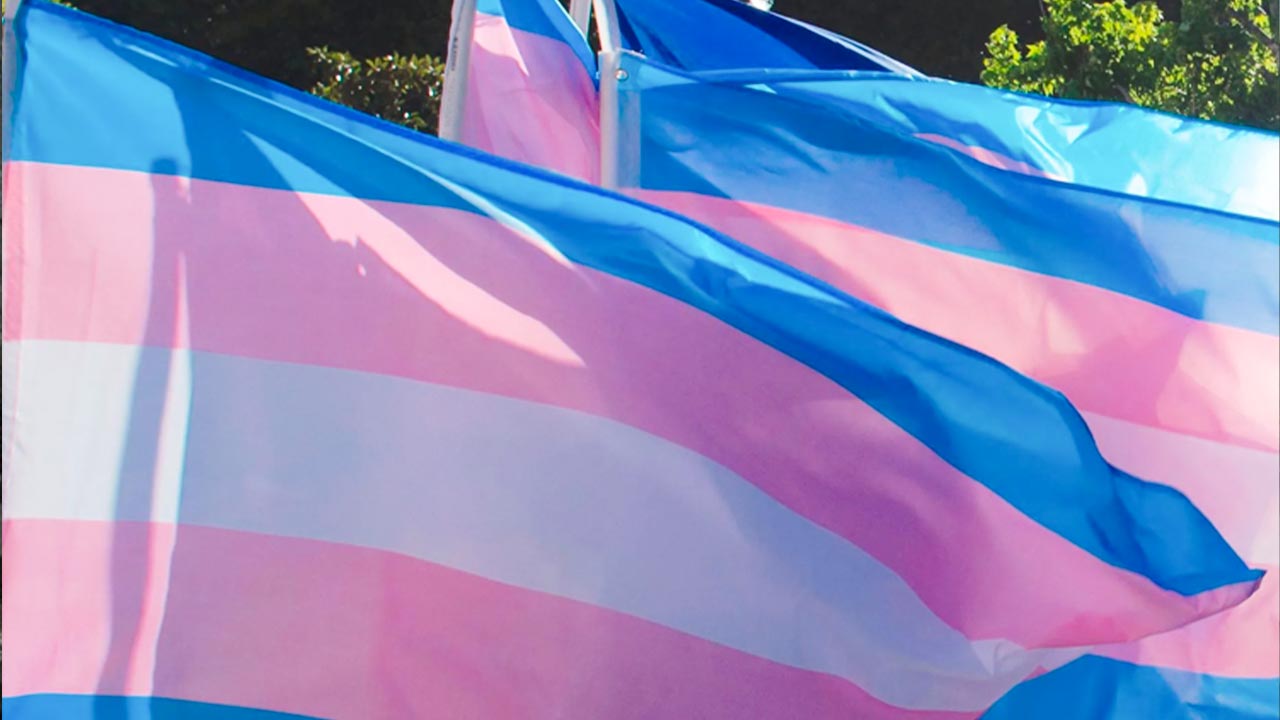 International Transgender Day of Visibility - Medya News