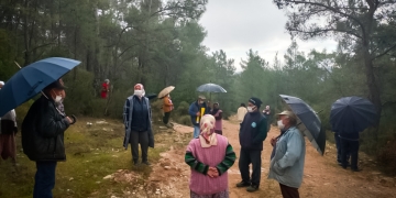 Trees cut down for a coal mine in Muğla, villagers in protest to protect their nature