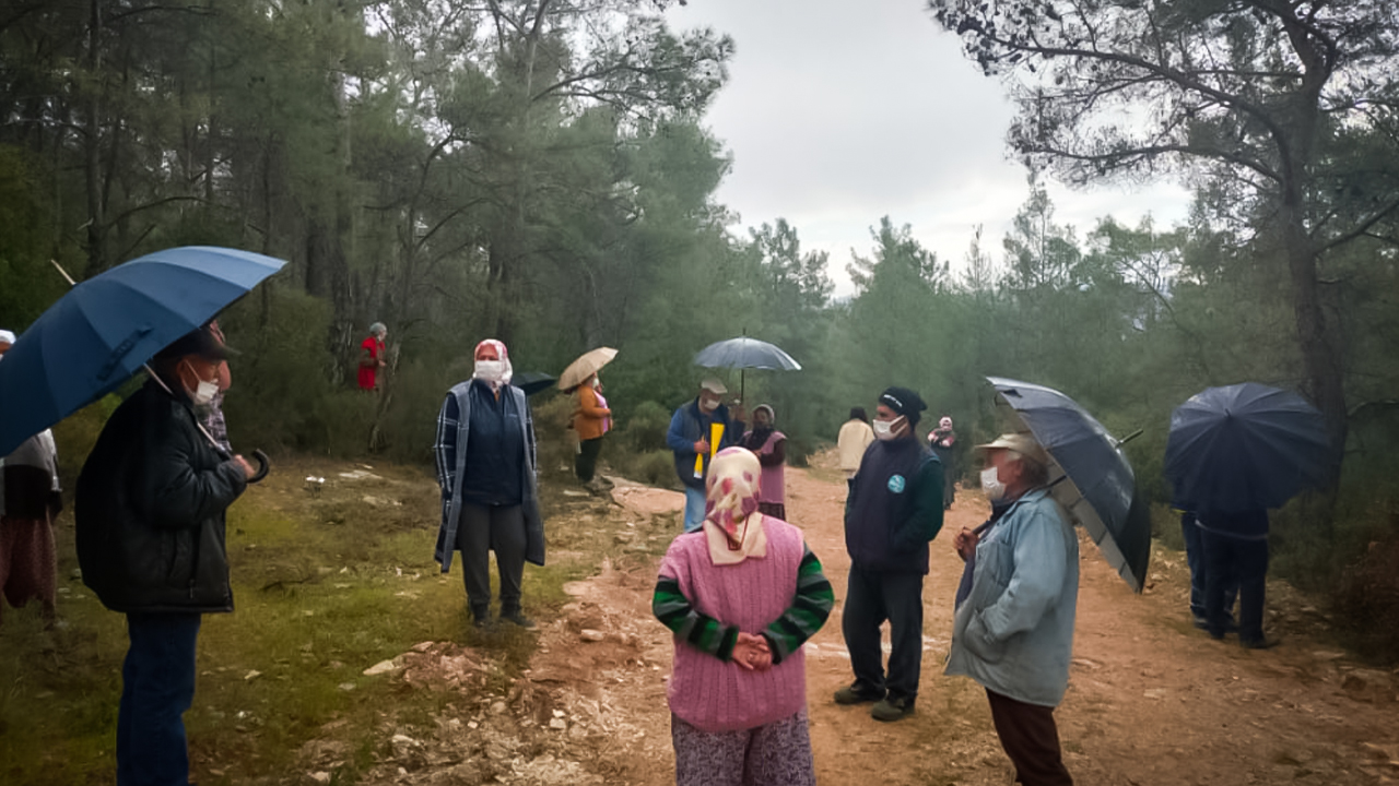 Trees cut down for a coal mine in Muğla, villagers in protest to protect their nature
