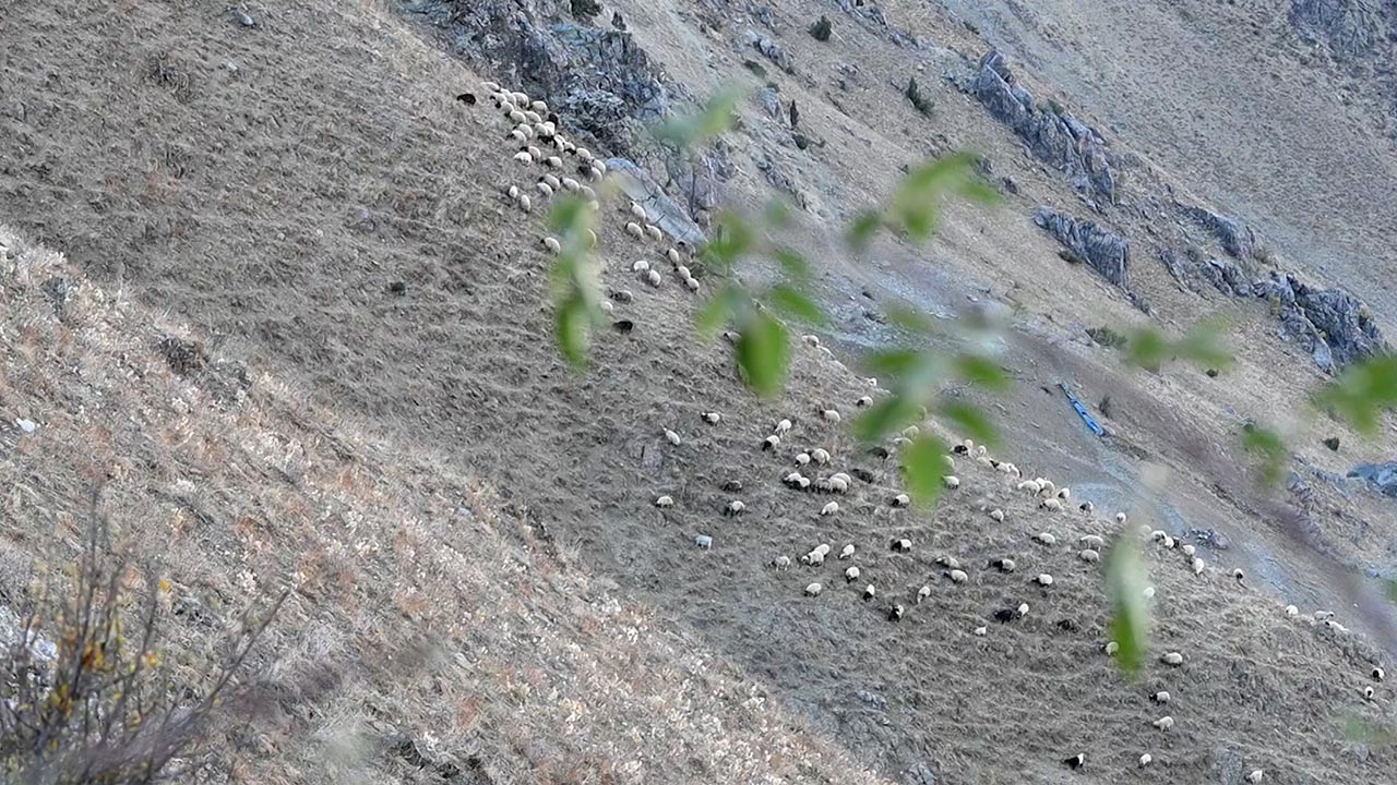 Kurdish nomads are banned from using mountain plateaus in Turkey