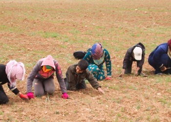 Two children killed, four civilians kidnapped in Afrin