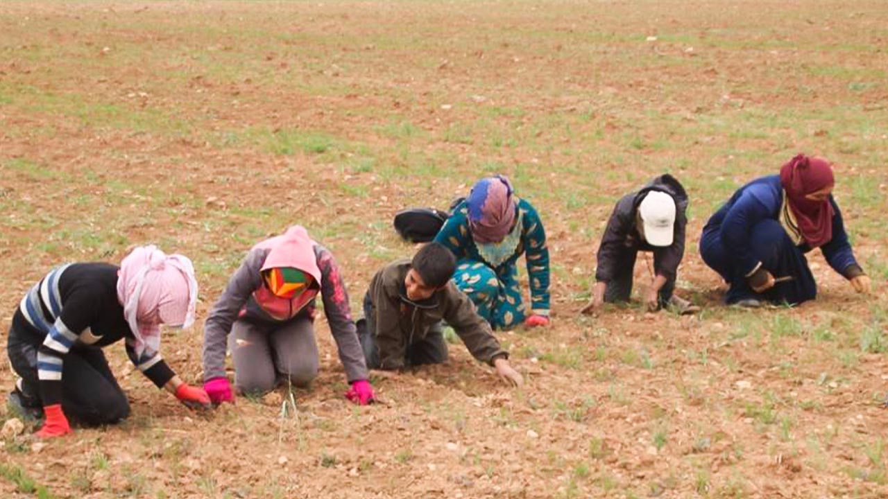 Two children killed, four civilians kidnapped in Afrin