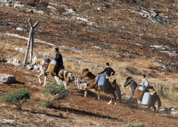 Turkey: Three civillians shot on border, not one soldier has even been questioned