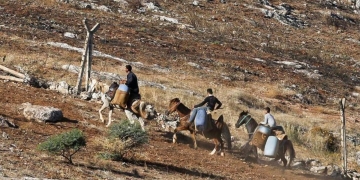 Turkey: Three civillians shot on border, not one soldier has even been questioned