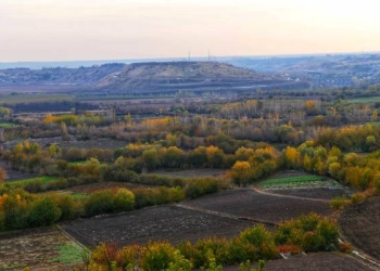 Turkey: Farmers from the historic Hevsel Gardens in Diyarbakir face financial hardship