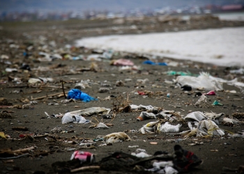 Turkey: Lake Van’s future is under serious threat