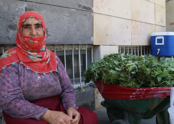 Turkey: A refugee in her own country – Kurdish woman sells herbs on the streets after the burning of her village