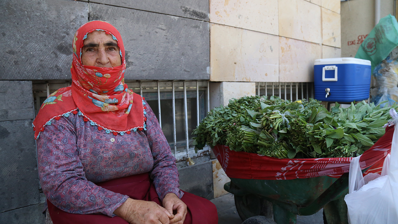 Turkey: A refugee in her own country – Kurdish woman sells herbs on the streets after the burning of her village