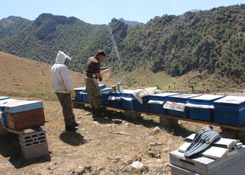 Turkey: Lake Van’s future is under serious threat