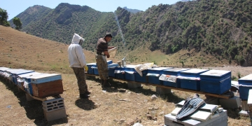 Turkey: Lake Van’s future is under serious threat