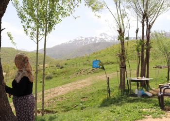 Turkey: Kurdish family seeks ecologically friendly life on the slopes of Mount Andok