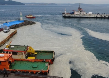 Sea snot threatening marine life in Marmara Sea could have been prevented years ago