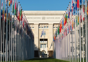 UN Special Rapporteur urges Turkey to stop misusing the law to detain human rights defenders