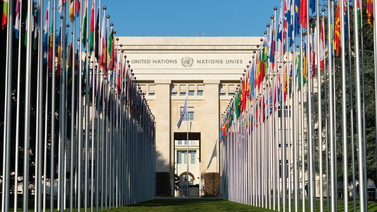UN Special Rapporteur urges Turkey to stop misusing the law to detain human rights defenders