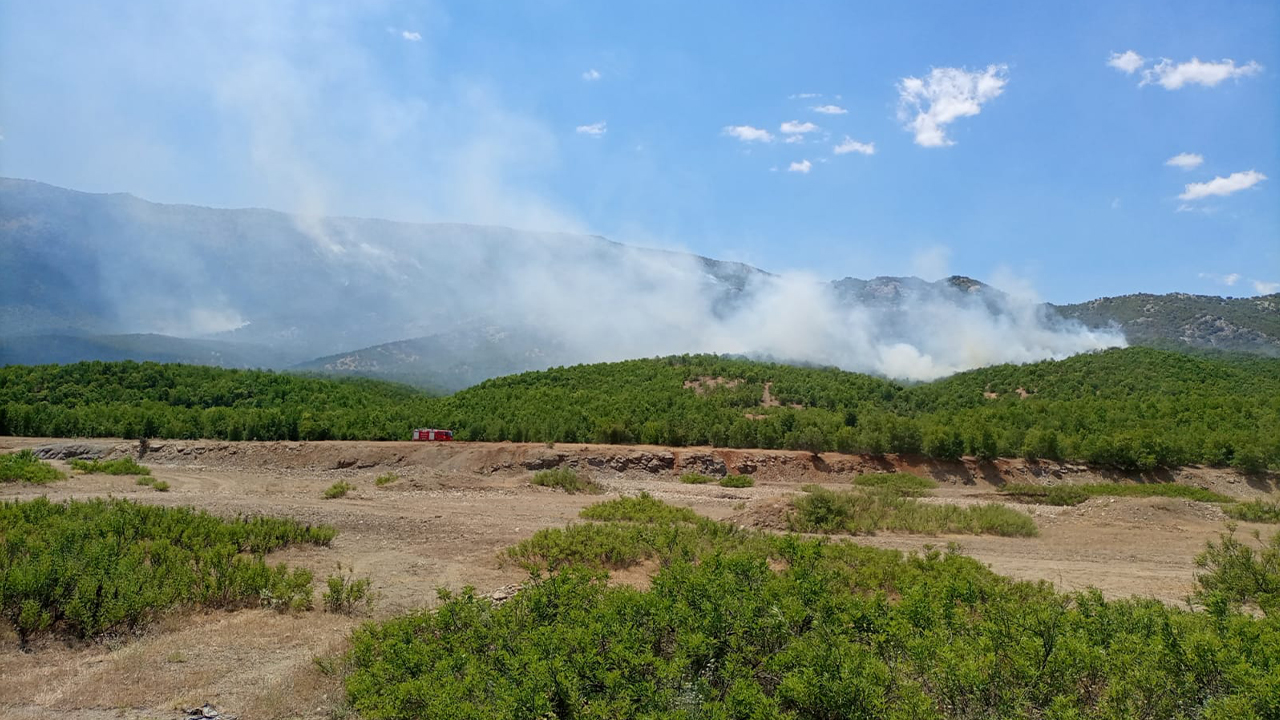 Ecological destruction in conflict zones: burning of forests and building new gendarmerie stations