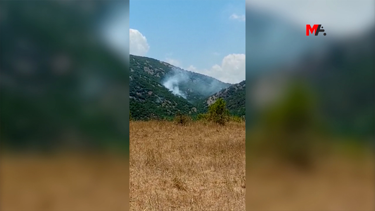 Turkey’s policies of war directly related to forest fires