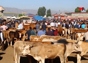 Kurdish farmers in Turkey: ‘Erdoğan’s politics of war are the cause of crisis’