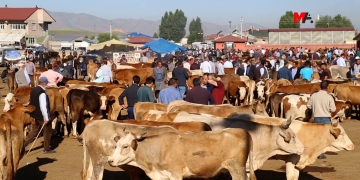 Kurdish farmers in Turkey: ‘Erdoğan’s politics of war are the cause of crisis’