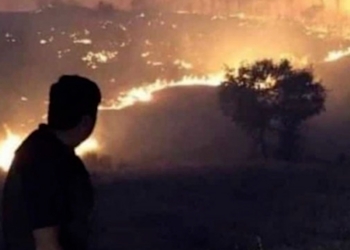 Turkey: Forest fires in Bingöl spread to twenty residential areas