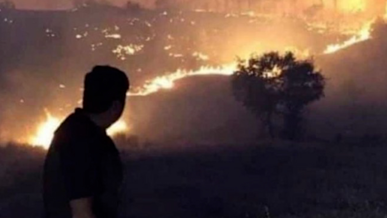 Turkey: Forest fires in Bingöl spread to twenty residential areas