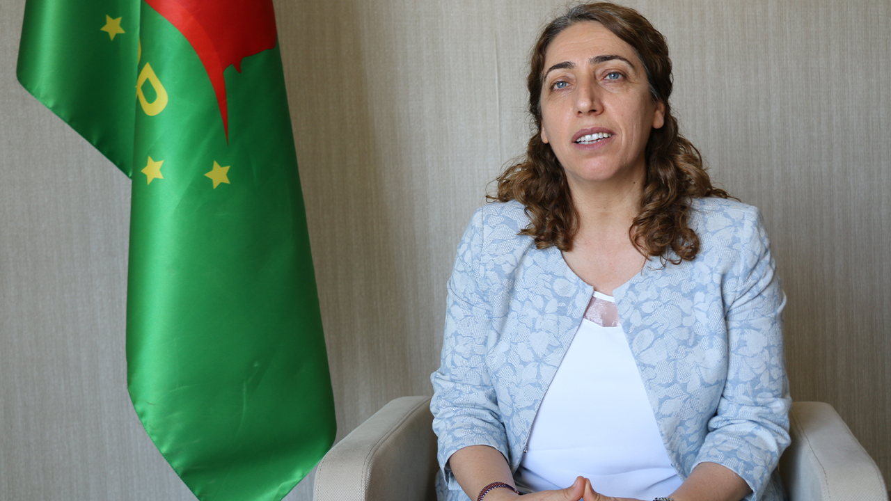 Saliha Aydeniz points to Imralı for the solution of the Kurdish question