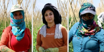 Turkey: Picking tomatoes for 12 hours under the sun Kurdish workers are paid £0.45 pence per hour