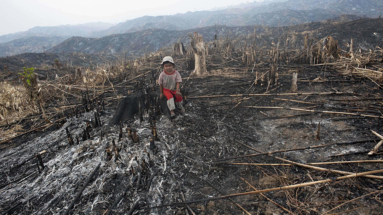 Is the concept of ecocide enough to call ‘big capital’ to account for crimes against nature?
